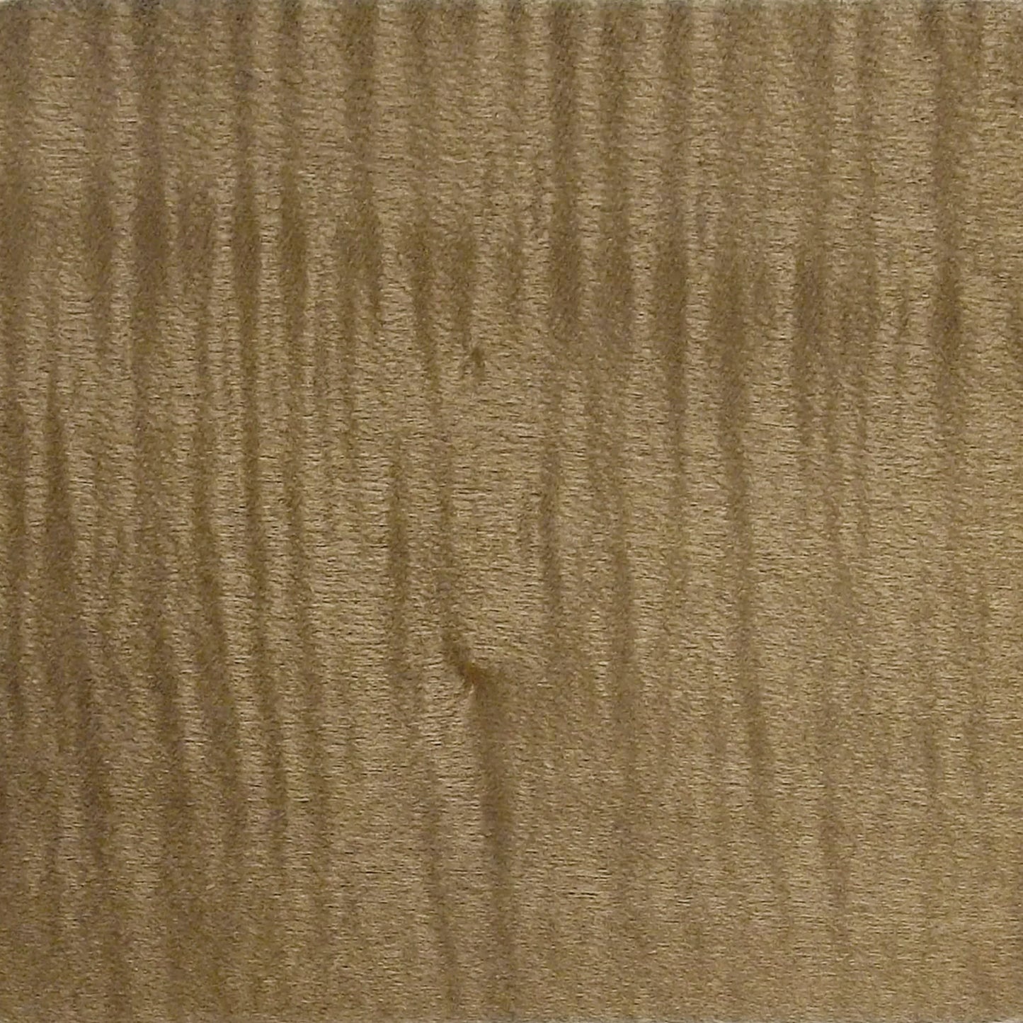 Toasted Sycamore