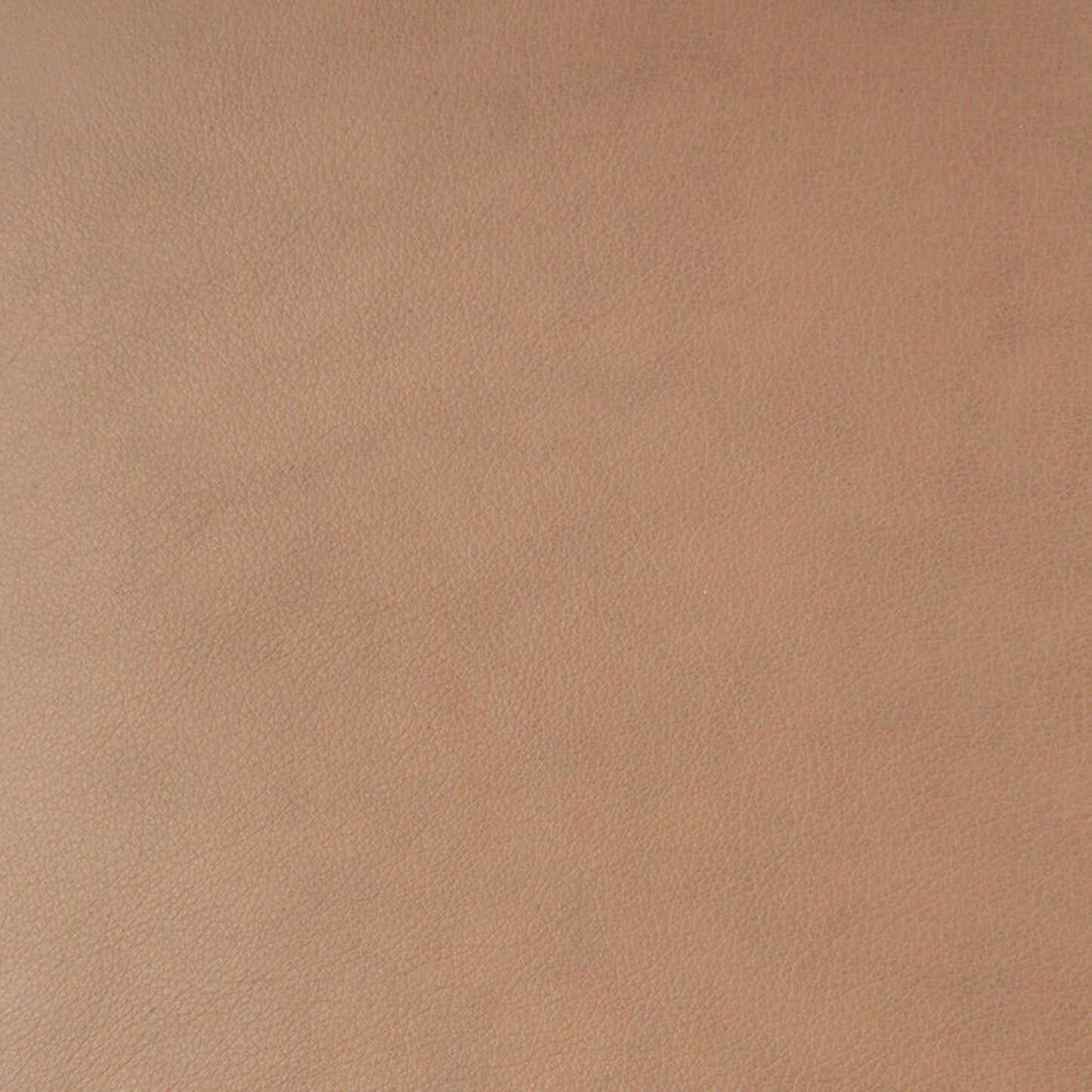 Leather Bok Side Chair