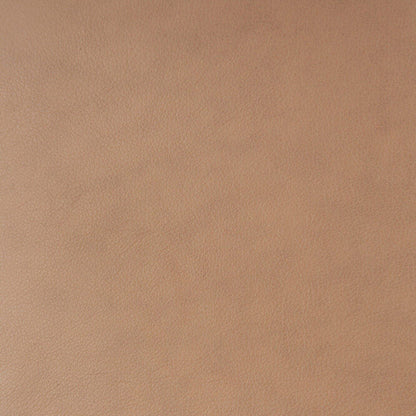 Leather Bok Side Chair