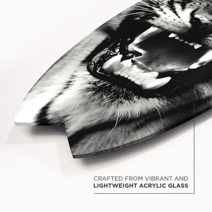 Wild Tiger Skimboard