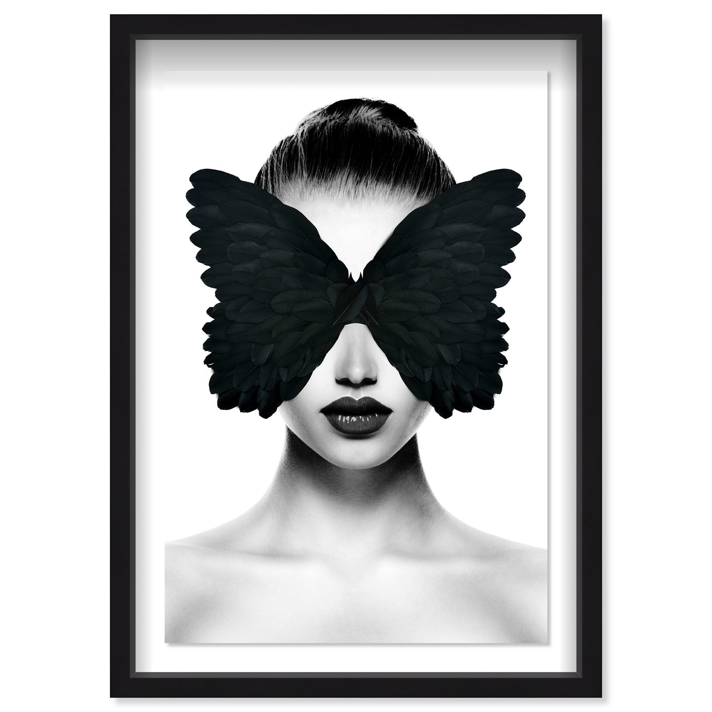 Midnight Duchess II Feathers