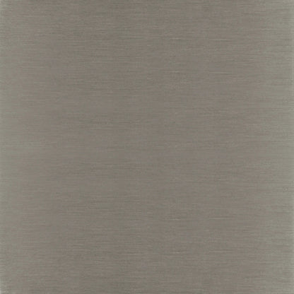 Silver Mirage