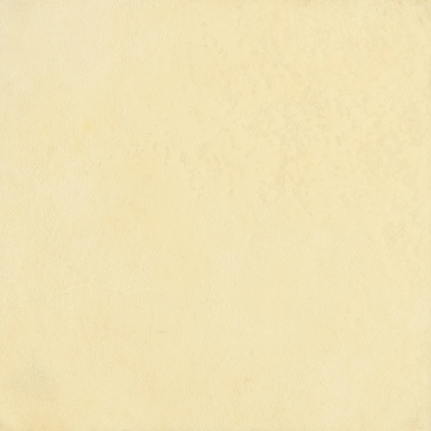 Ivory Parchment