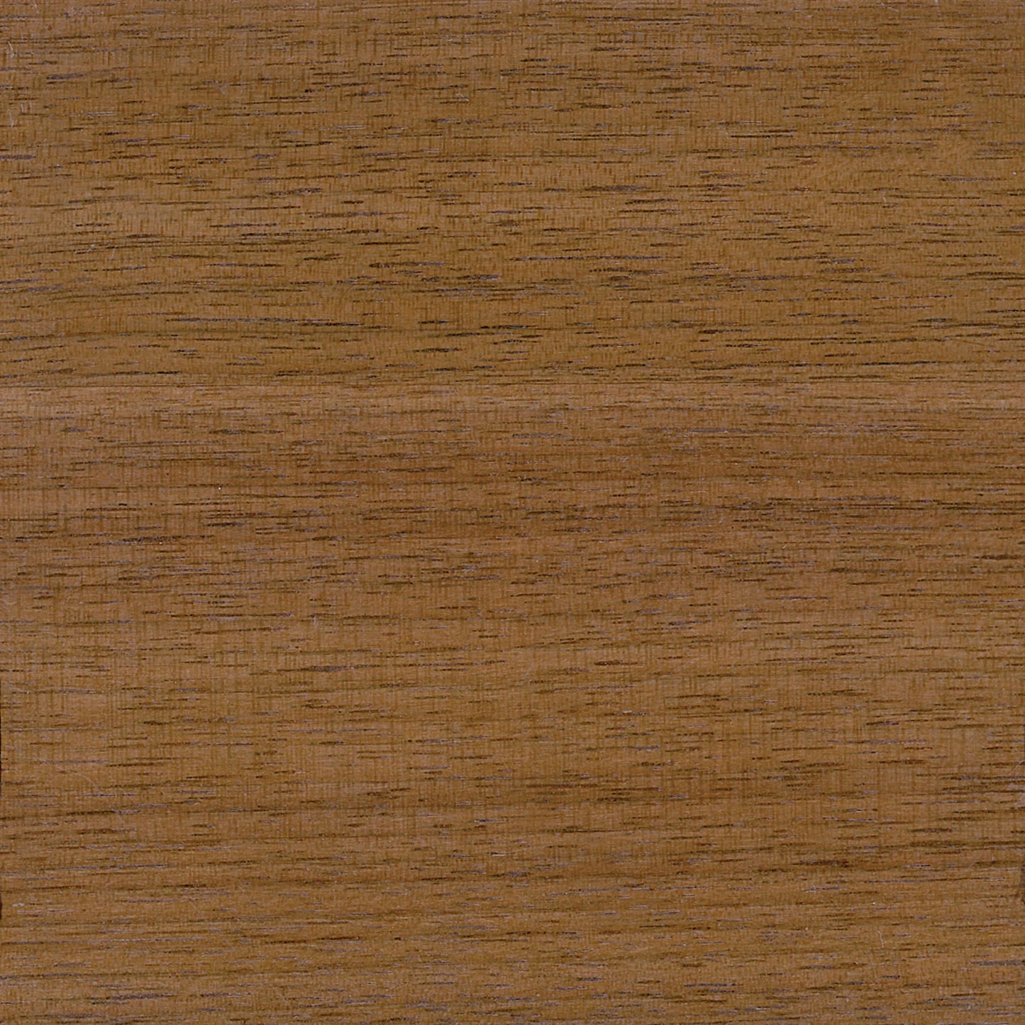 Sylvie Side Chair - Nat Walnut