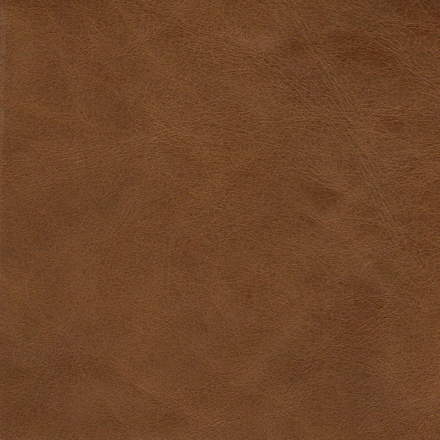 Ethnicraft Fabric Swatch