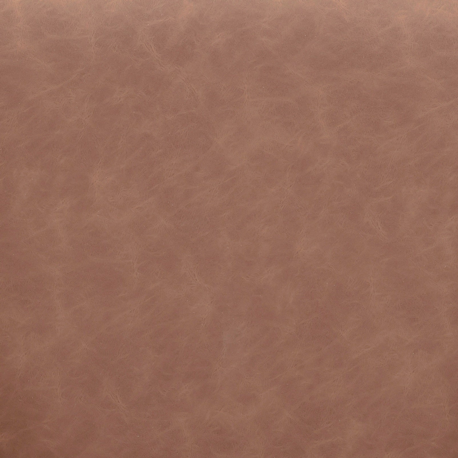 Vina Performance Vegan Leather Dining Chair