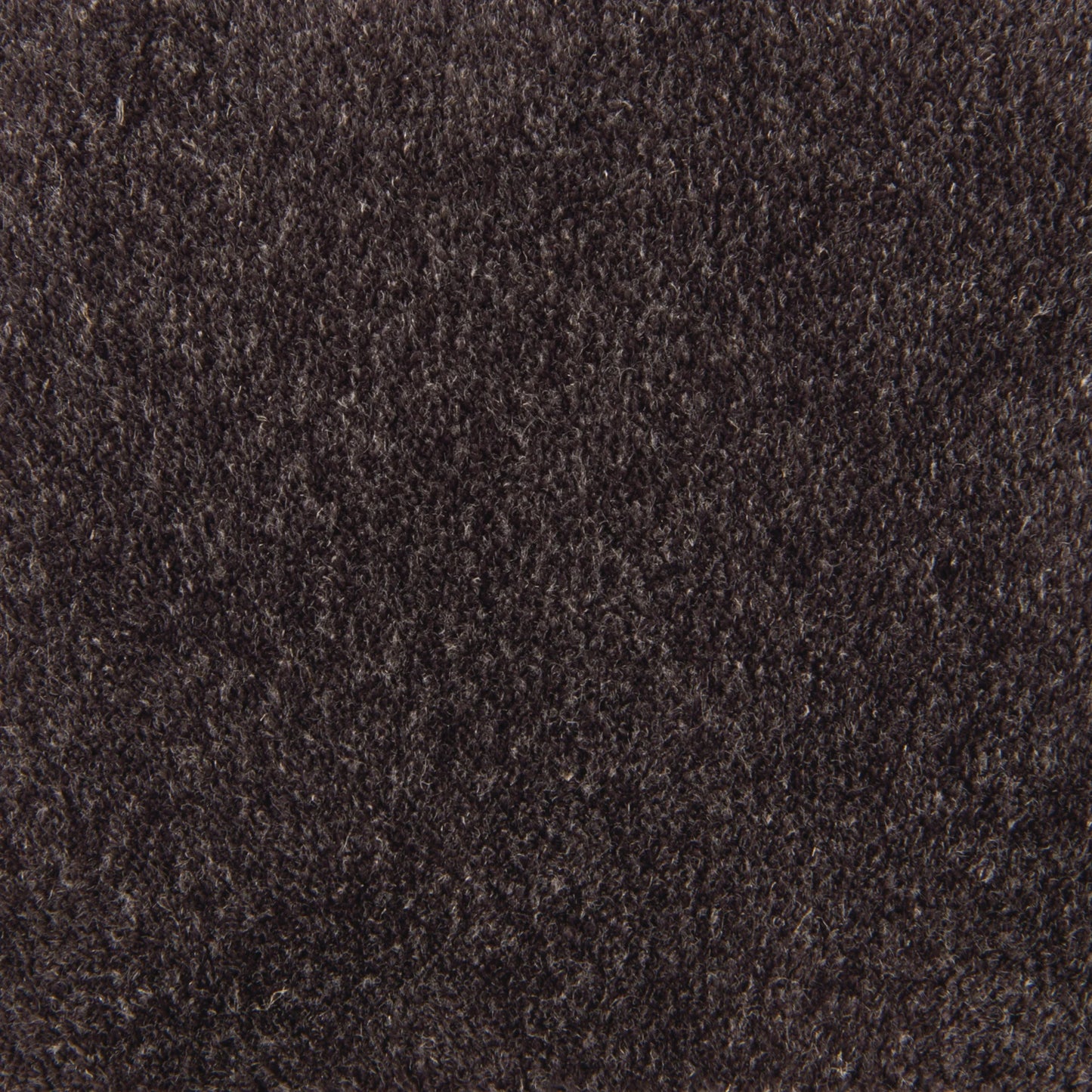2956-81CC