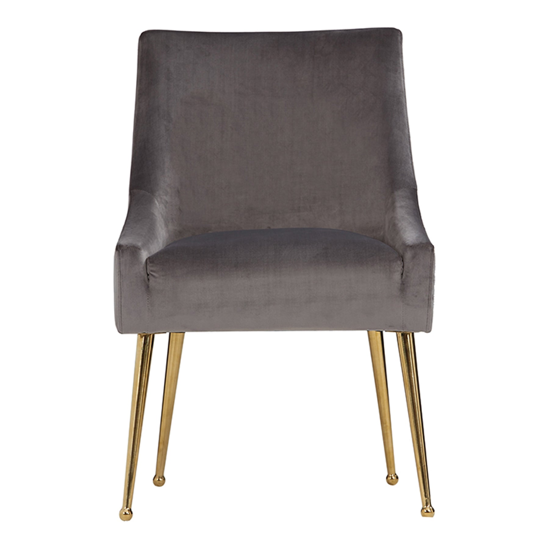 Castana Modern Grey Velvet & Gold Dining Chair (Set of 2)
