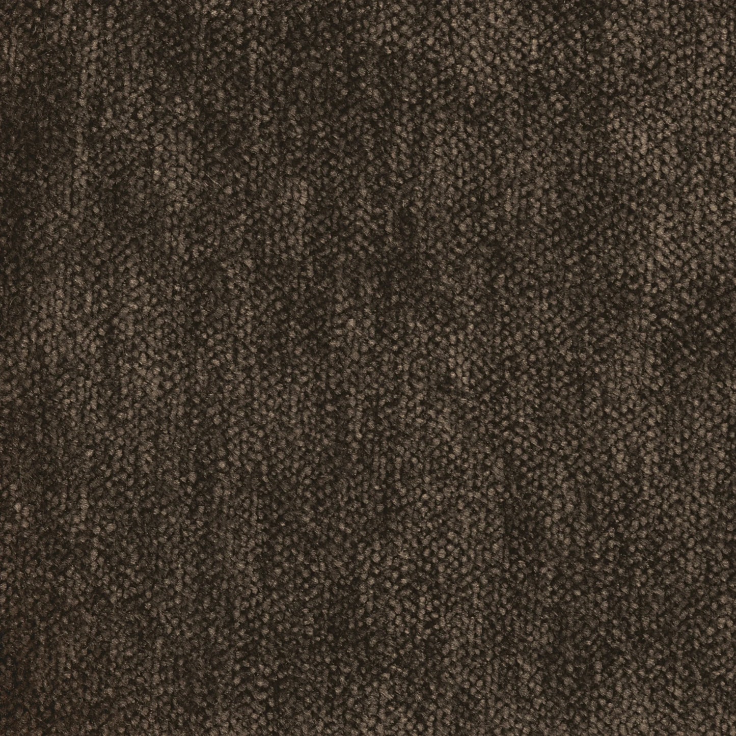 Gazelle Dining Chair - Mink